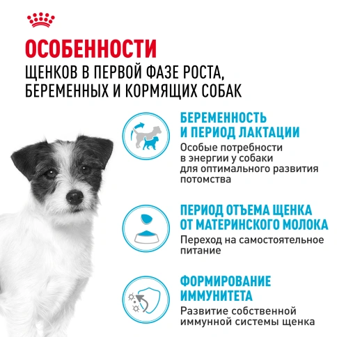 Сухой корм Royal Canin Mini Starter Mother & Babydog для щенков и кормящих сук, 8,5 кг фото 2