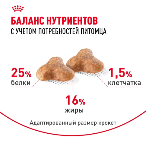 Сухой корм Royal Canin Pug Adult для взрослых собак, 1,5 кг фото 4
