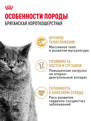 Сухой корм Royal Canin British Shorthair для кошек породы британская короткошерстная, 10 кг фото 29