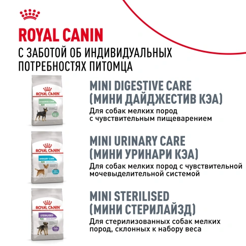 Сухой корм Royal Canin Mini Dental Care для собак, 3 кг фото 10