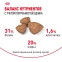 фото 5