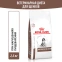 фото 12