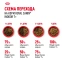 фото 10