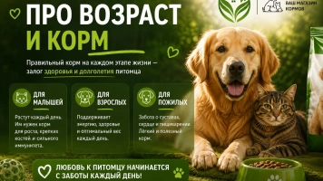 🐾 Возраст питомца и корм: почему это важно?